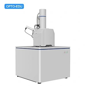 Tungsten Filament Scanning Electron Microscope, SE, 300000x