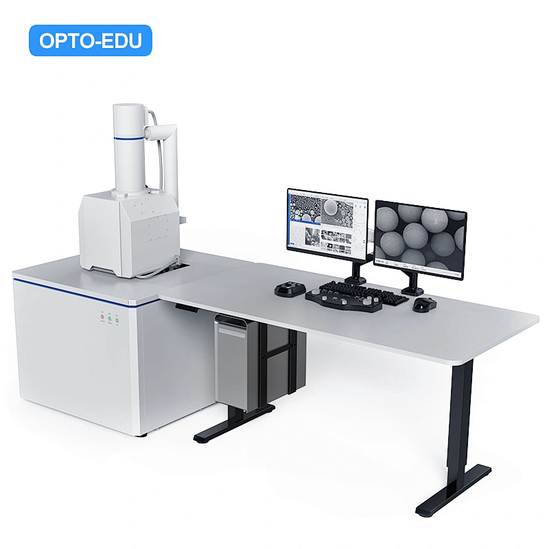 Tungsten Filament Scanning Electron Microscope, SE, 300000x