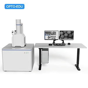 Tungsten Filament Scanning Electron Microscope, SE, 300000x
